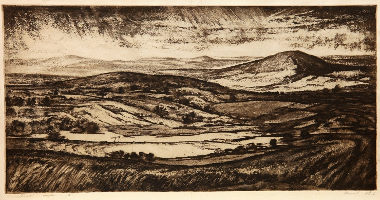 Câmpuri