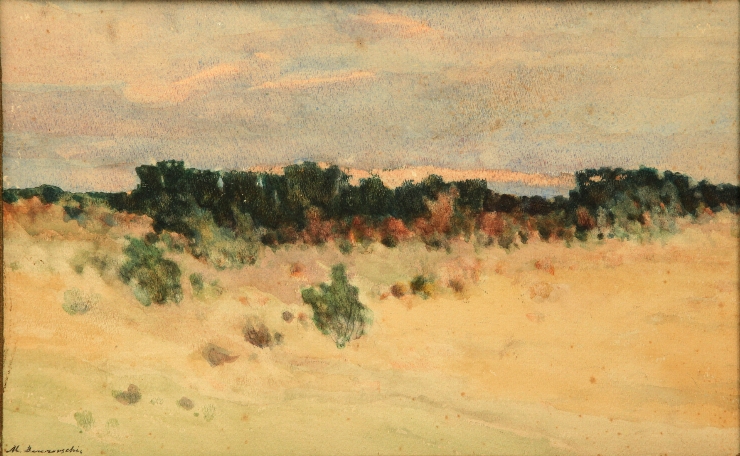 Peisaj