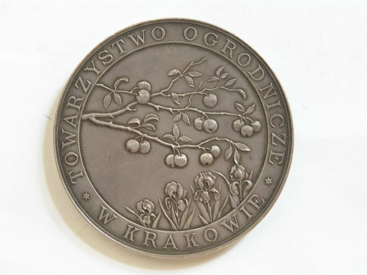 Medalie cu vedere a oraşului Krakom