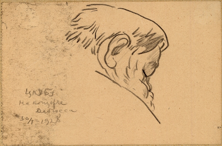Schiţă de profil