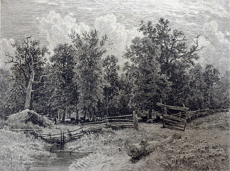 Ţarc din pădure