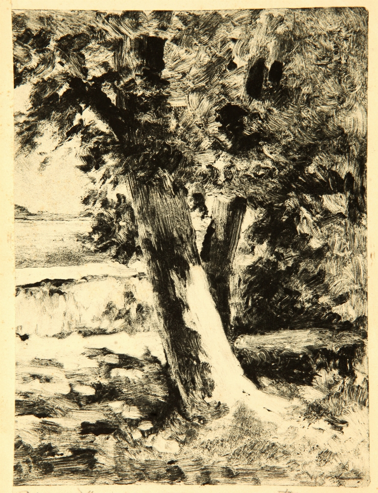 Studiu