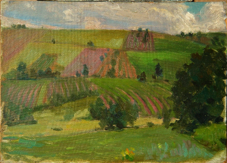Peisaj