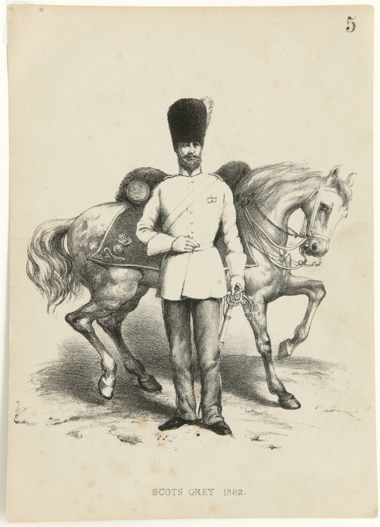 Scots Grey. 1862