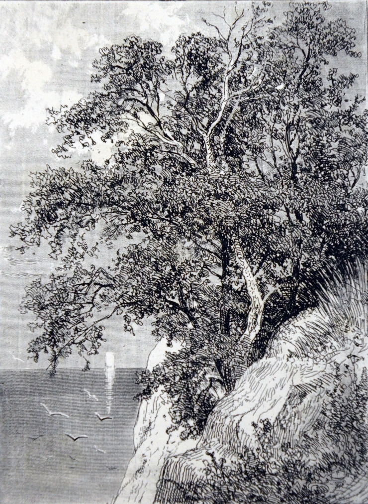 Peisaj