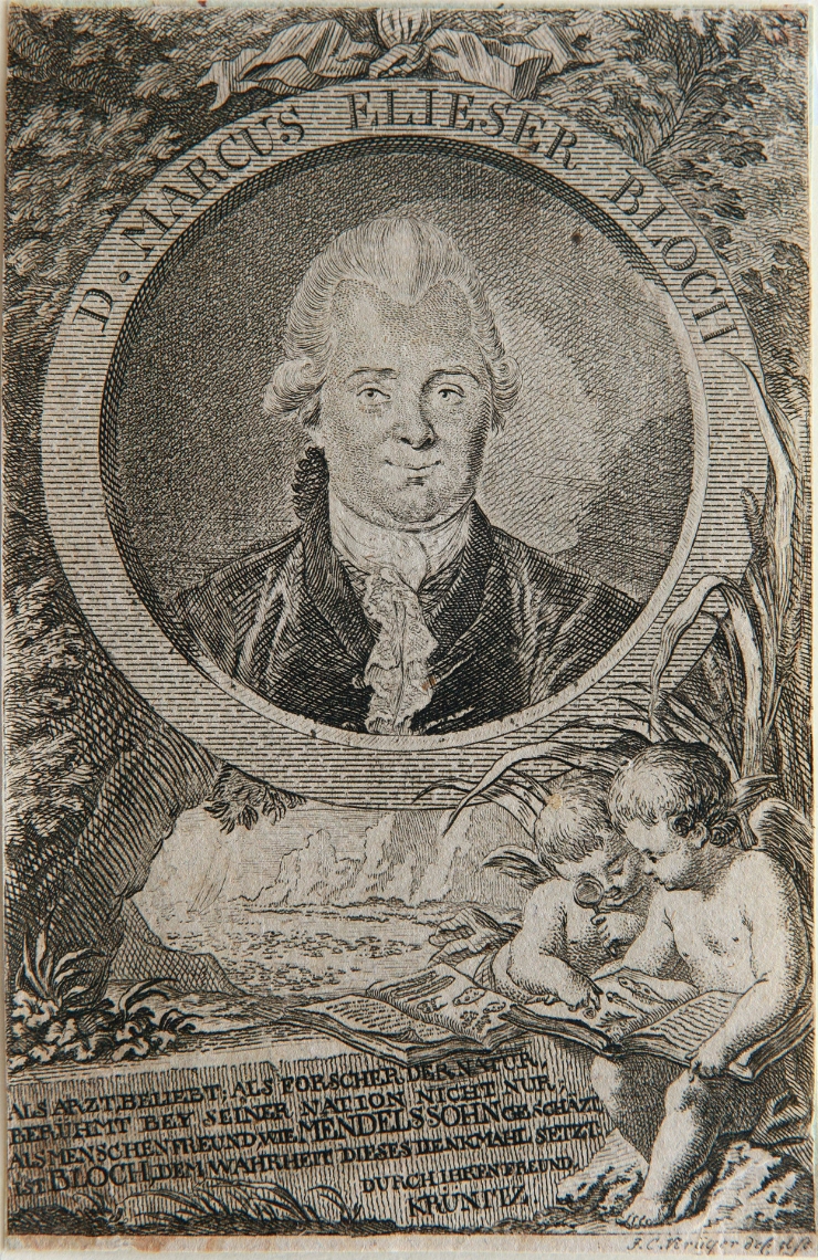 Portretul lui Marcus Elieser Bloch