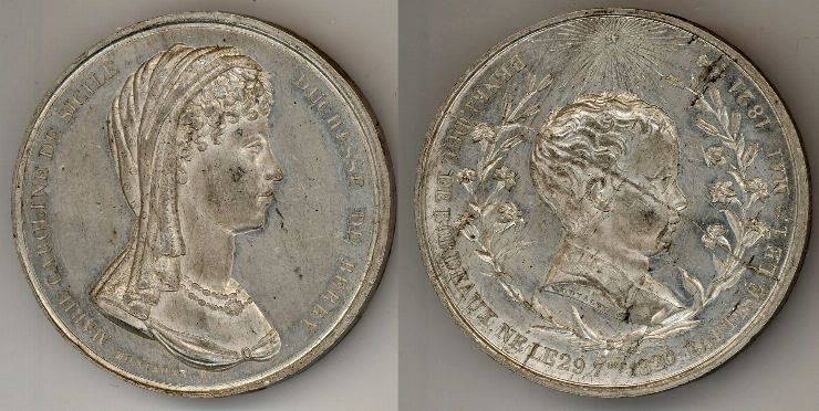 Medalie în cinstea ducesei, 1881