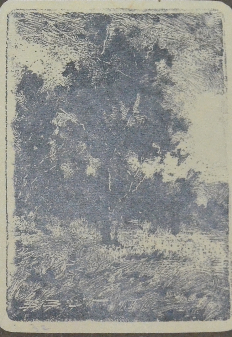 Un colţ de parc