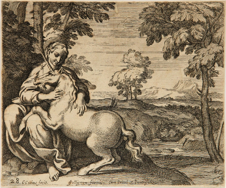 Femeie cu unicorn