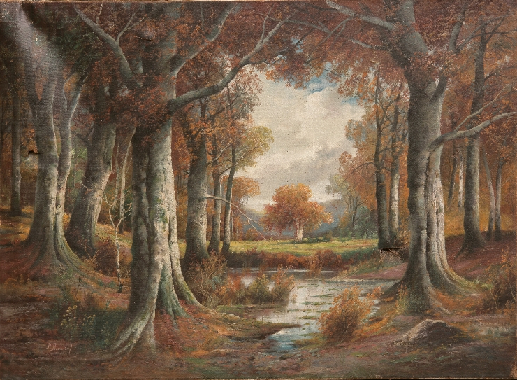 Peisaj din pădure