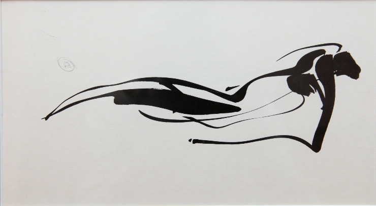 A l'ombre des oiseaux