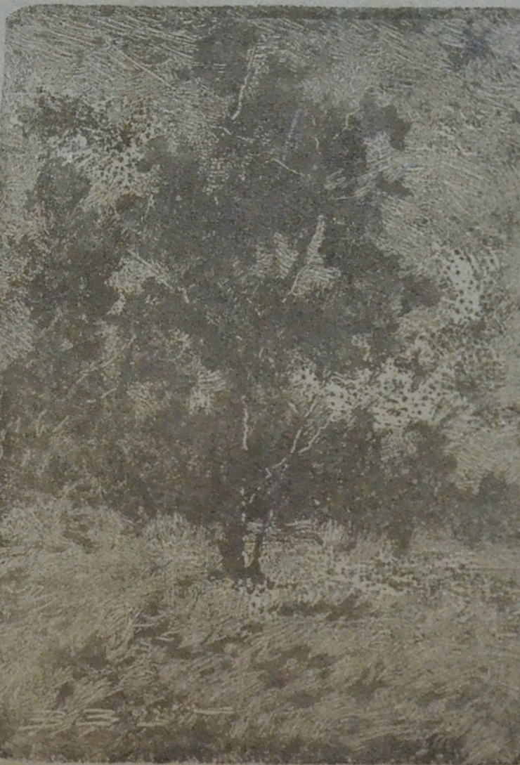 Un colţ de parc