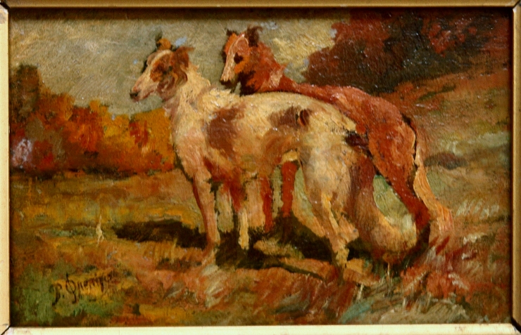 Câini