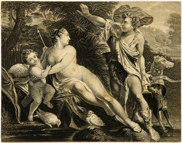 Venus și Adonis, după A. Carracci