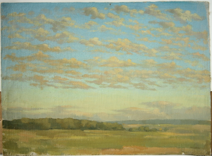 Peisaj