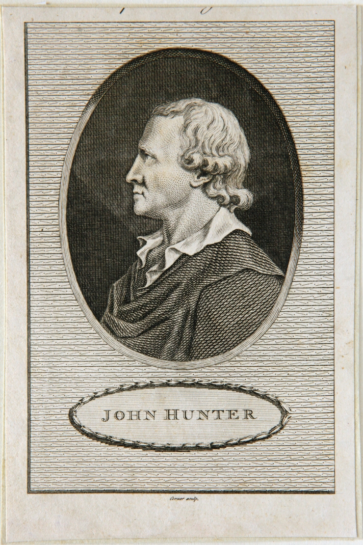 Portretul lui John Hunter