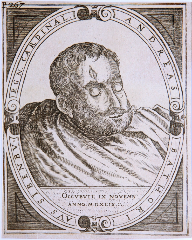 Portretul lui Andrei Bathery