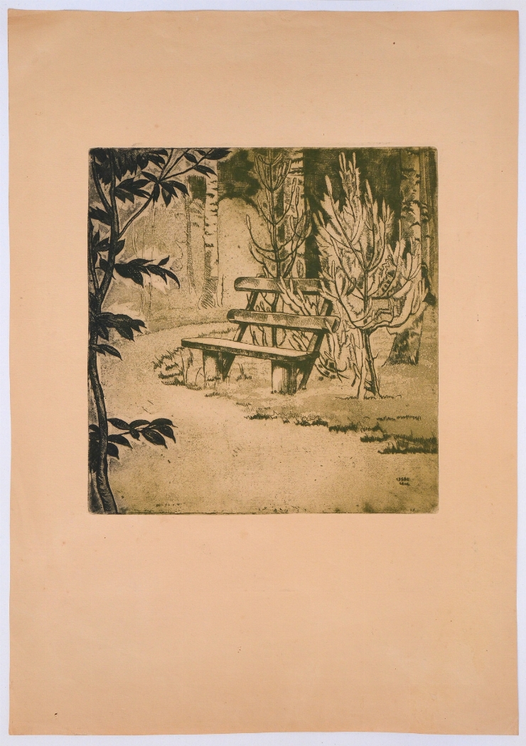 Peisaj. Parc