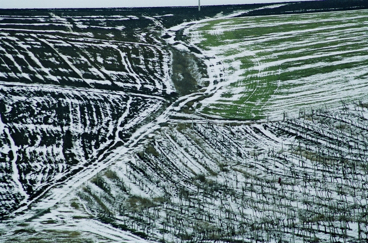 Bardar. Ialoveni