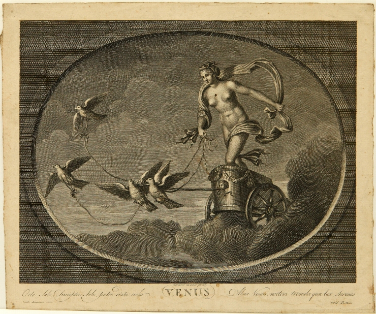 Venera