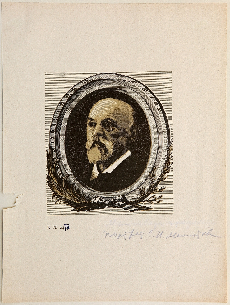 Portretul lui S. I. Mamontov