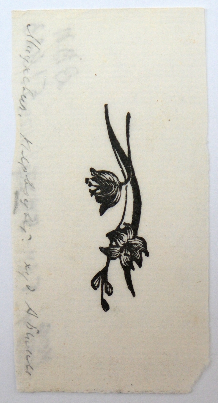 Ilustrație la ”Sonetele Crimeei” de Mickiewicz