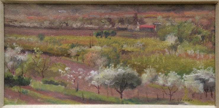 Pruni în floare