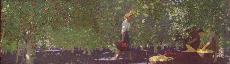 Livadă