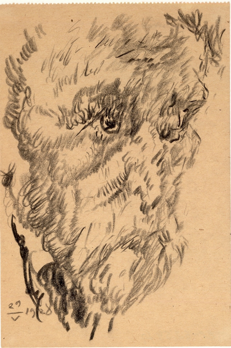 Schiţă (Portret de bărbat în vîrstă)