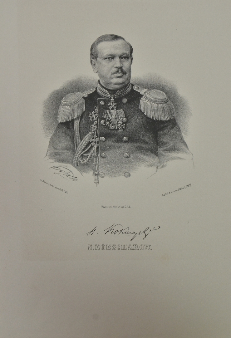 Portretul lui N. Kokşarev