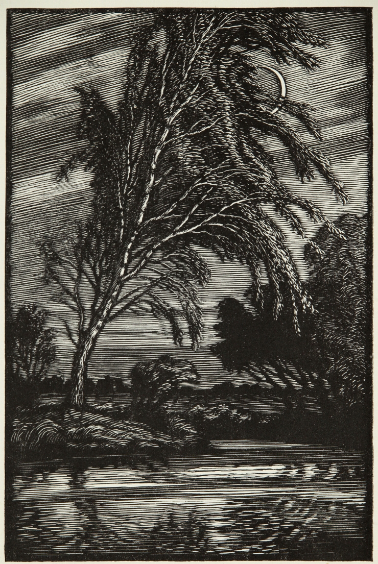 Ilustraţie 