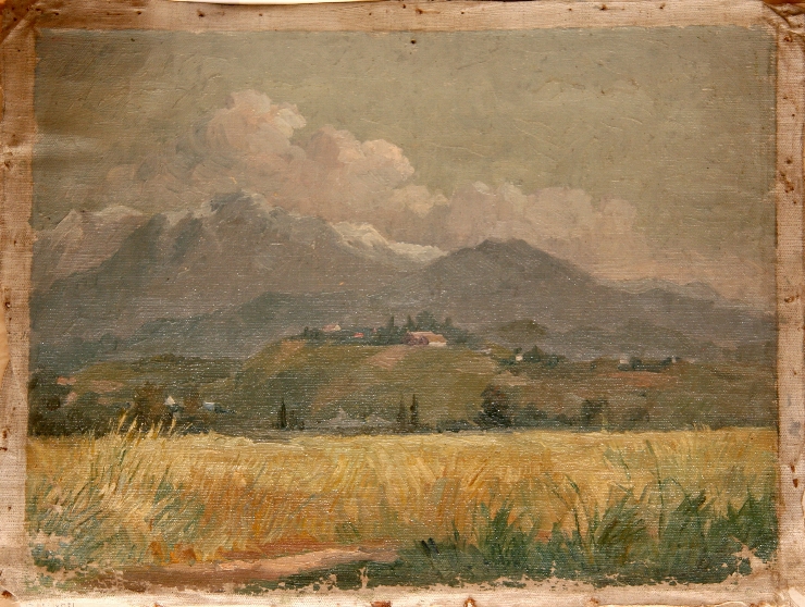 Peisaj