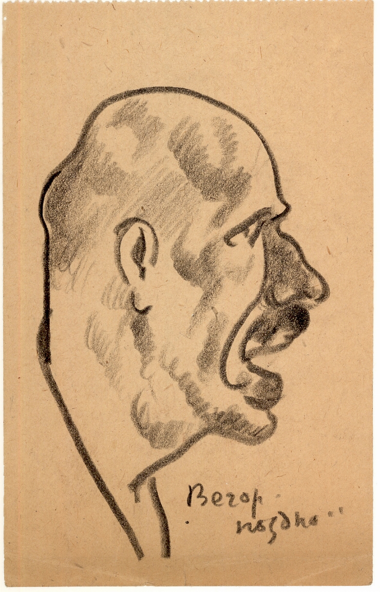 Schiţă de profil