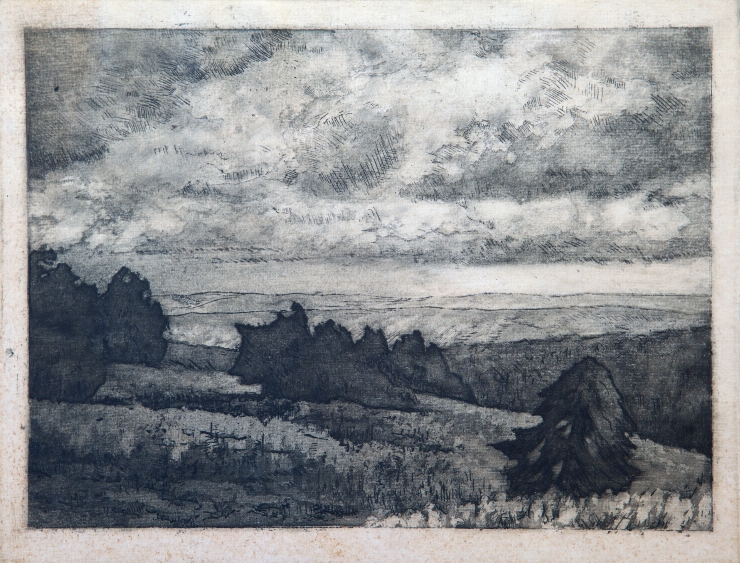 Peisaj