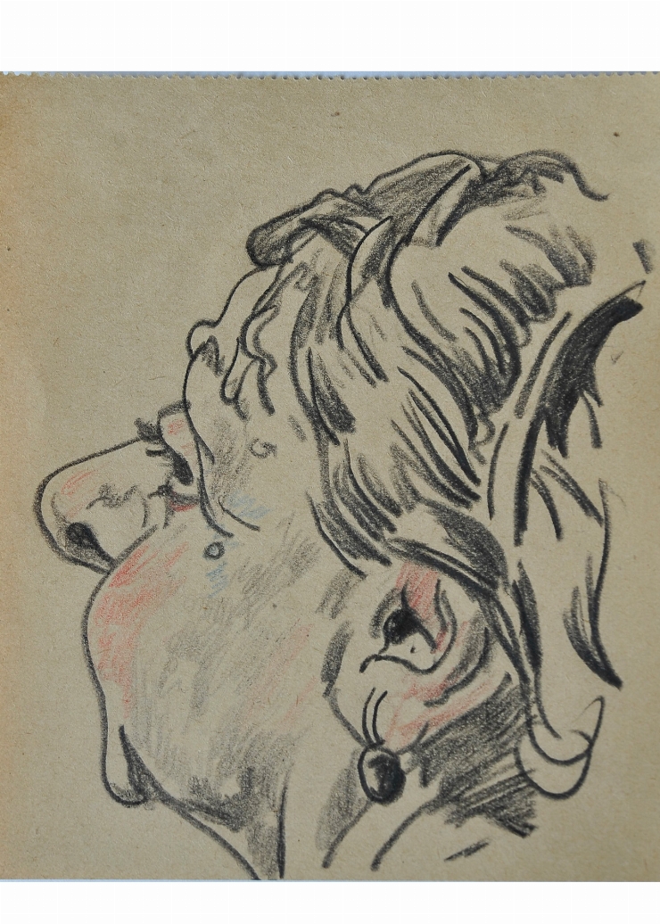 Schiţă (Portret de femeie în profil)
