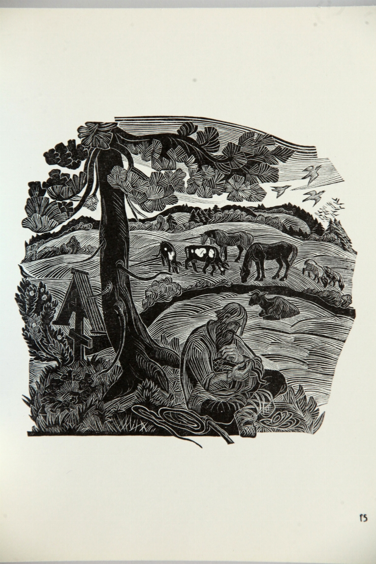Ilustraţie 