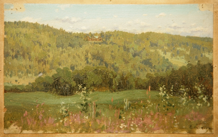 Studiu (pădure)