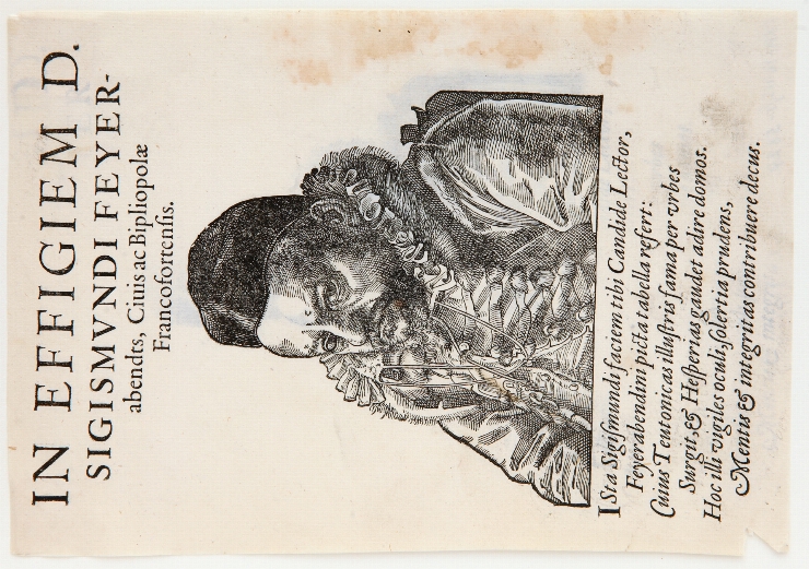 Portretul lui Sigismund