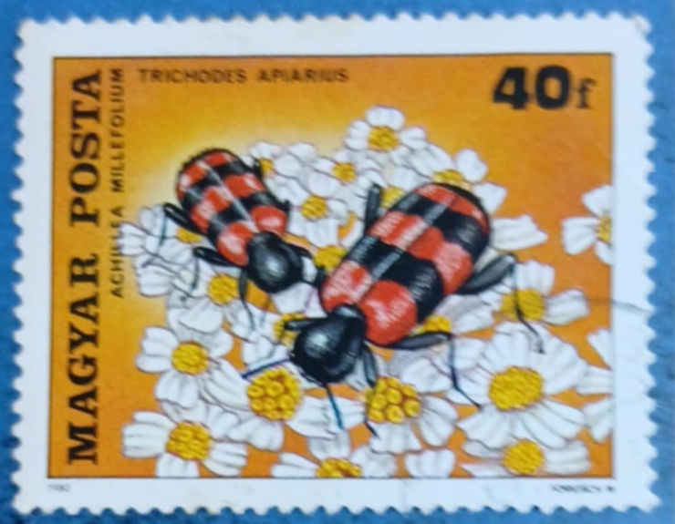 Timbru poștal - „Trichodes apiarius – Achillea millefolium”