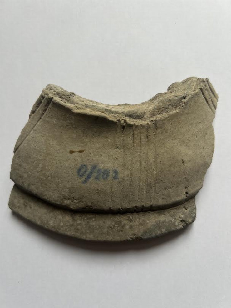 Fragment de vas