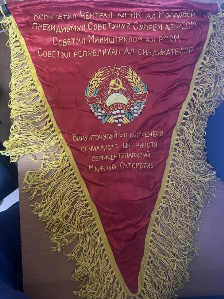 Fanion decernat Lidiei Pînzari 