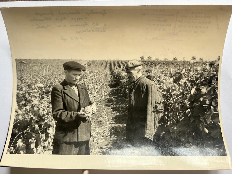 Fotografia lui Coșciug Carp Ivan