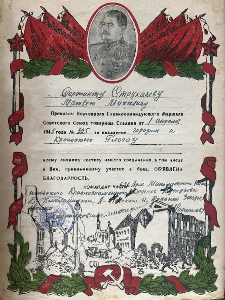 Diplomă Nr. 325 a lui Strucaciov Matei Mihai 