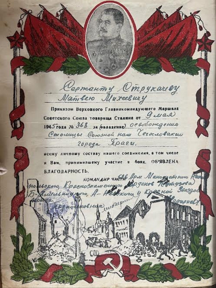Diplomă Nr. 368 sergentului Strucaciov Matei Mihai 