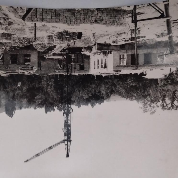 Fotografie de portret 