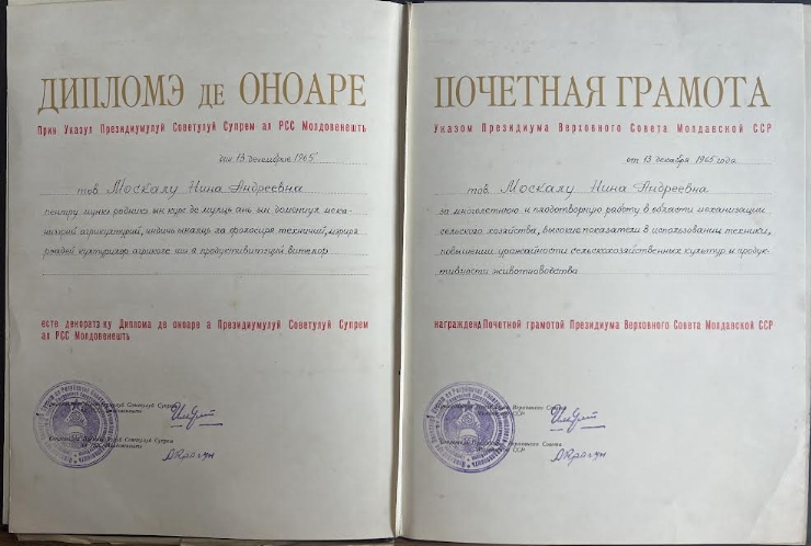 Diplomă 
