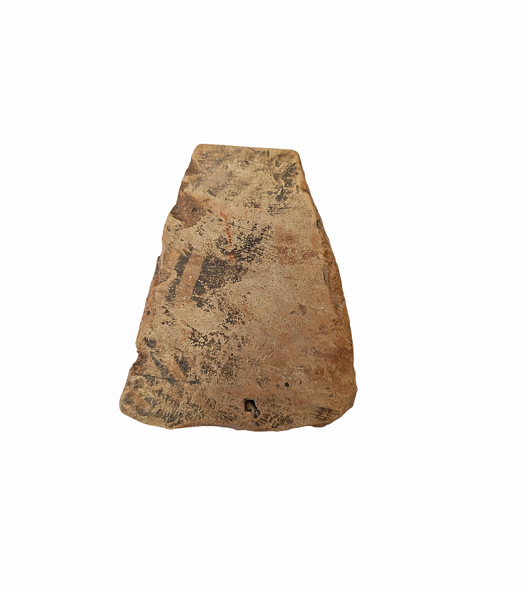 Fragment de castron(strachină)