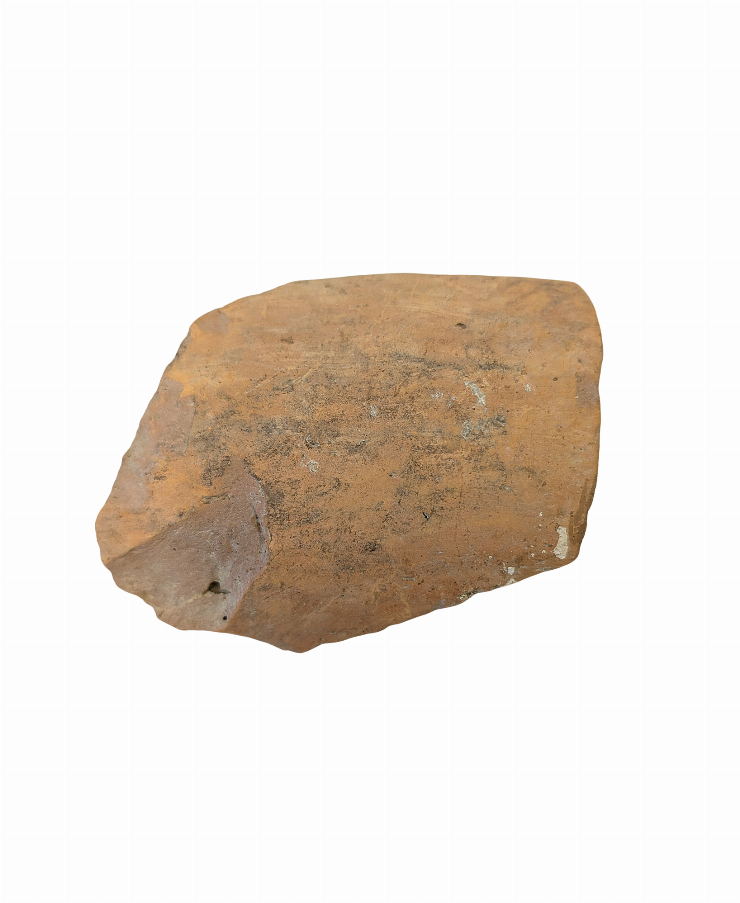 Fragment de castron(strachină)