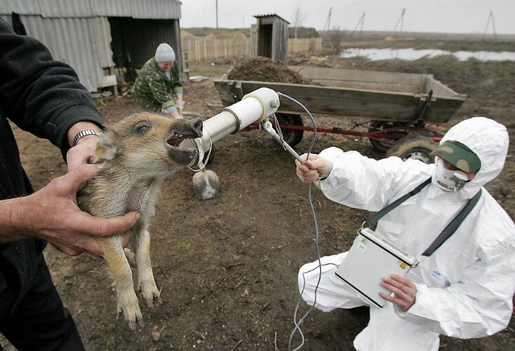 Фото цветное 