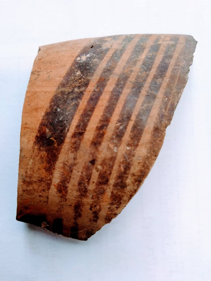 Fragment de strachină